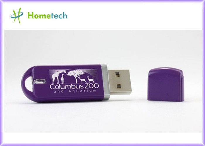 Επαγγελματικά ραβδιά μνήμης ραβδιών 2-4GB USB cOem, πλαστικά Drive λάμψης USB με το λογότυπο συνήθειας